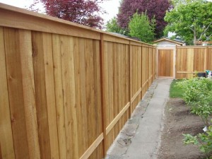 Bay Area Wood Fence